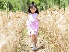诗经中的女孩灵动名字2023推荐(优美而含有深刻的文化底蕴)
