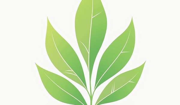 有创意的茶叶公司名称,吸引眼球的创意茶叶公司名称大全